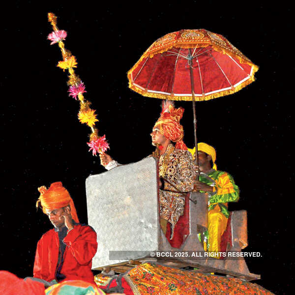 Aniruddh, Shubhi&rsquo;s wedding