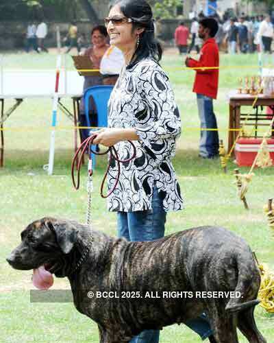 Dog show