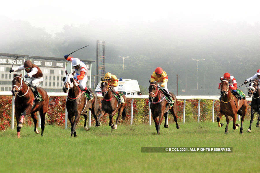 Navy Cup & Hoogly Cup