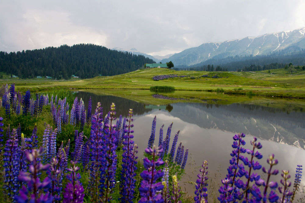 Walk around the Outer Circle, Gulmarg - Times of India Travel