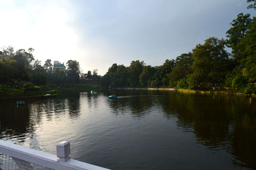Take a stroll around Wards Lake