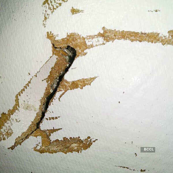 Debris found near Mozambique could be MH-370's