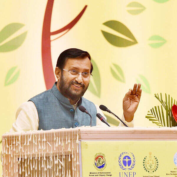 Picture package of the day - 8th March