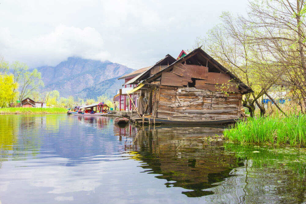 Dal Lake Srinagar Times Of India Travel