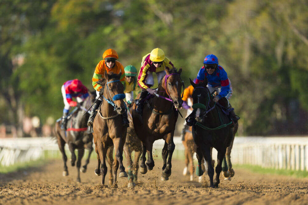 Ooty's Racecourse race