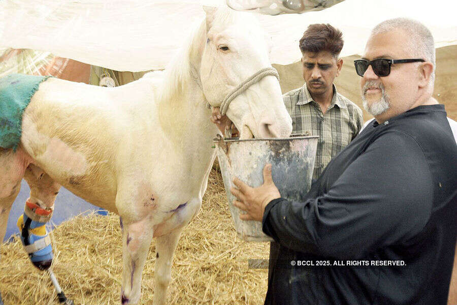 Police horse 'Shaktiman' passes away