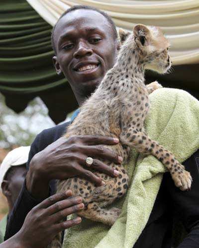 Bolt adopts cheetah