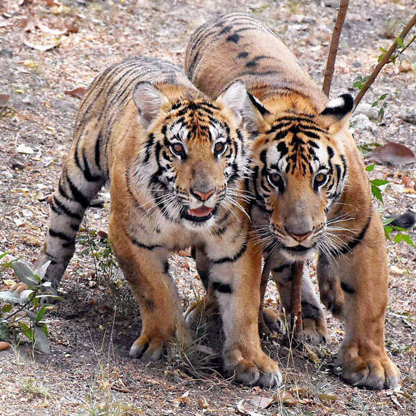 TOP Stories Of The Day &ndash; 29th April