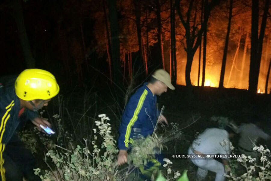 Fire situation under control in Uttarakhand: Rajnath