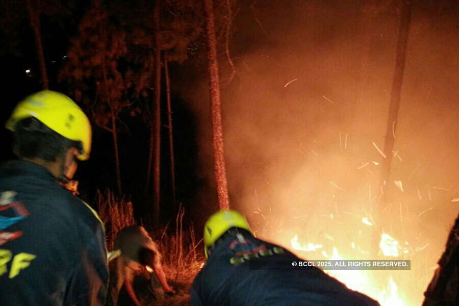 Fire situation under control in Uttarakhand: Rajnath