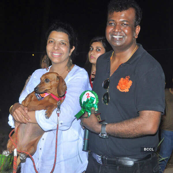 Provoke Pet Party 2016