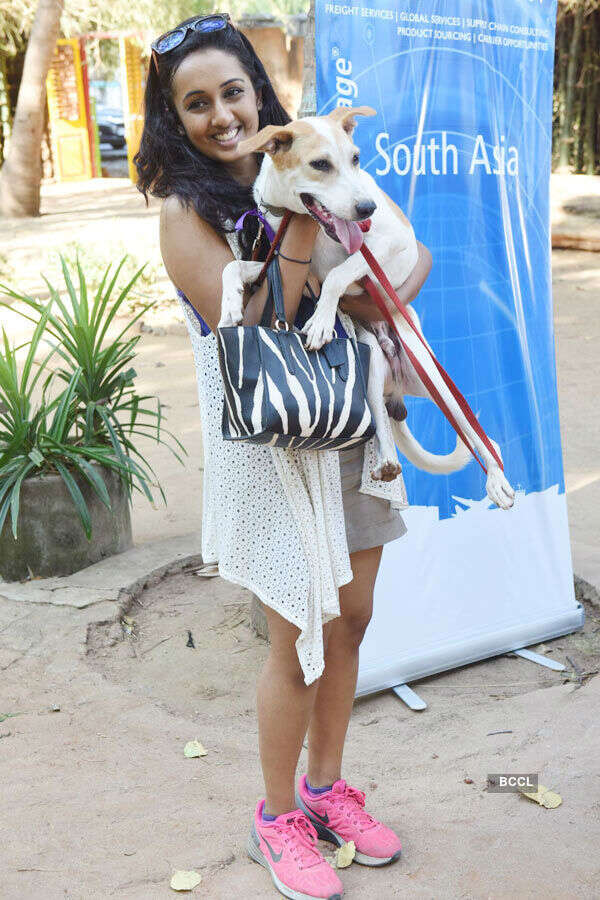 Provoke Pet Party 2016