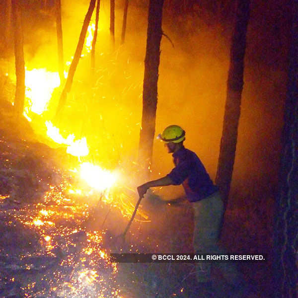 Raging inferno engulfs Uttarakhand forests again