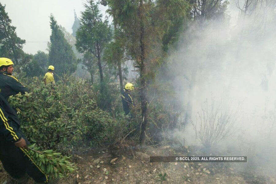 Raging inferno engulfs Uttarakhand forests again