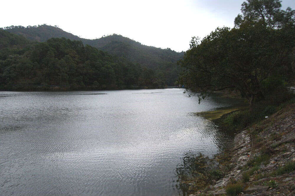 sattal