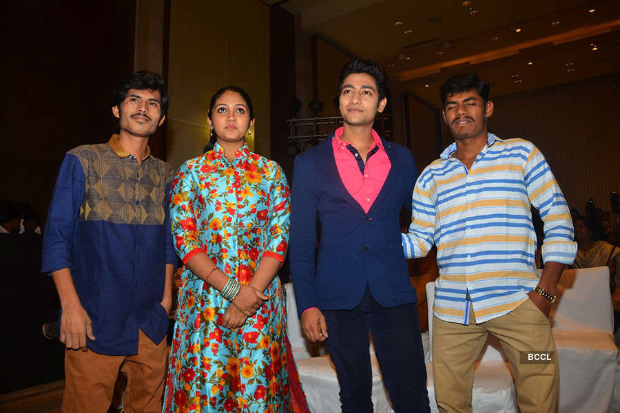 Sairat: Success Party