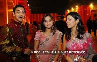Priyanka & Alok's wedding