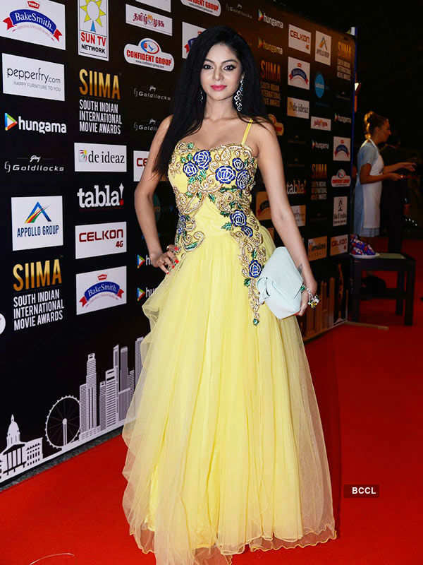 SIIMA 2016: Red Carpet