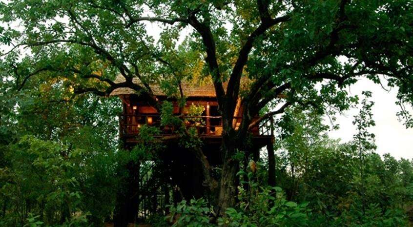 Tree House Hotels In India Tree House Resorts In India Times