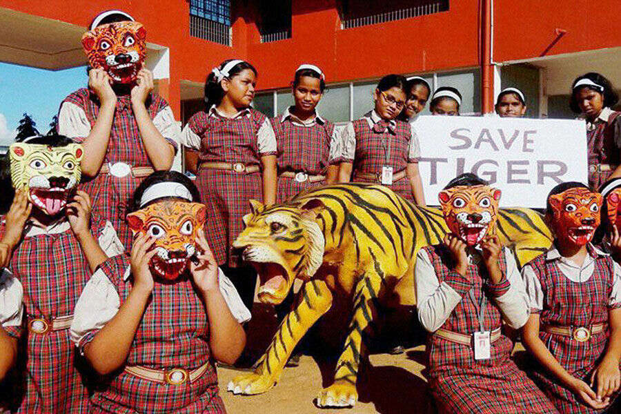 World Tiger Day celebration