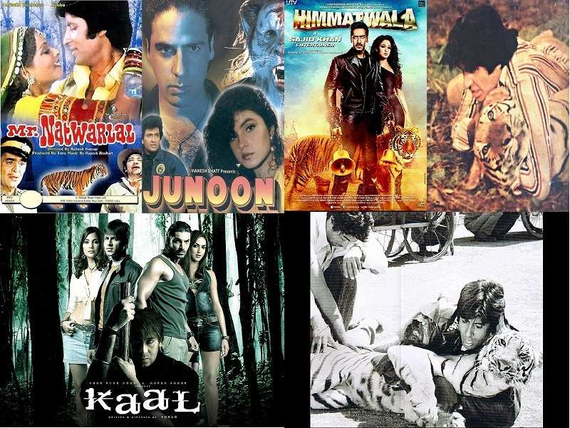 Five Bollywood films where Tigers played a prominent role