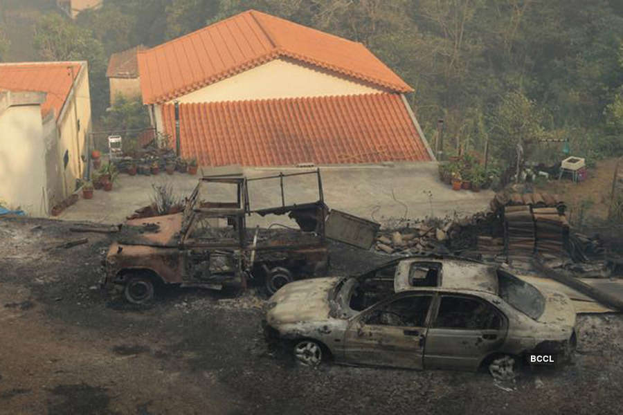 Forest fires ravage Portugal