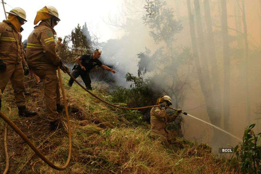 Forest fires ravage Portugal