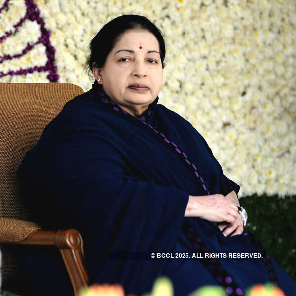 TOP Stories Of The Day &ndash; 24th August