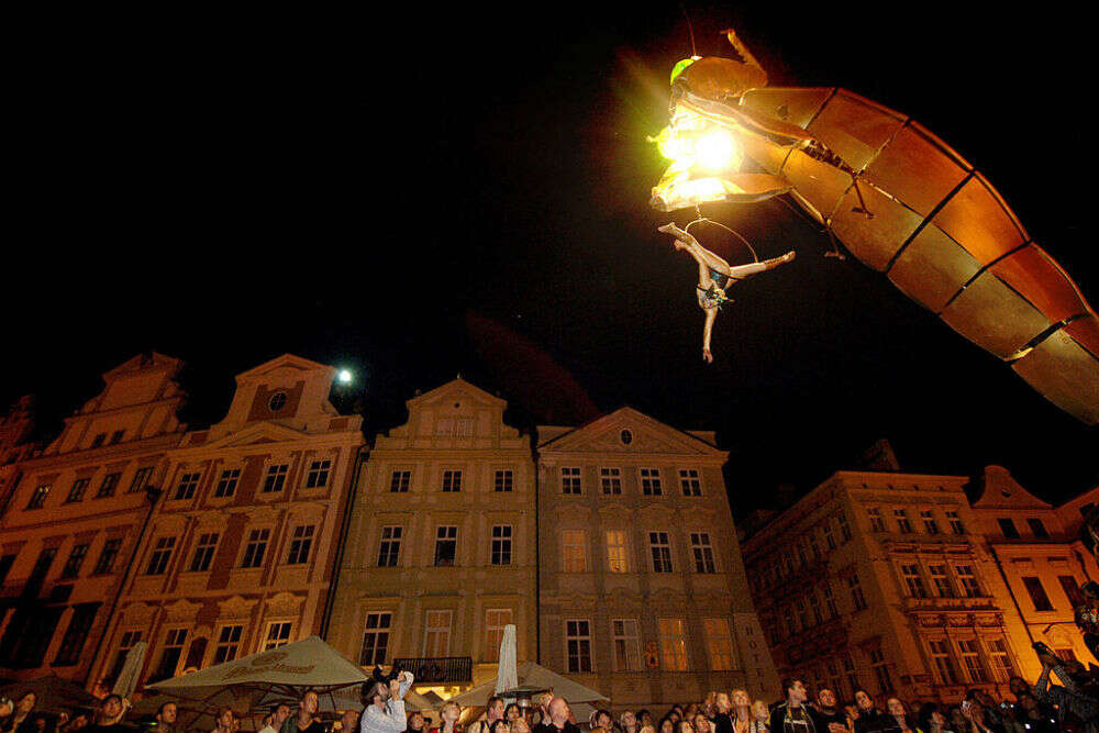 The eccentric acrobat acrobat