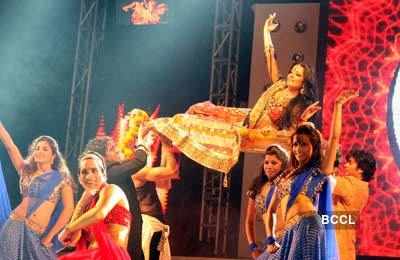 Celina Jaitley performs 