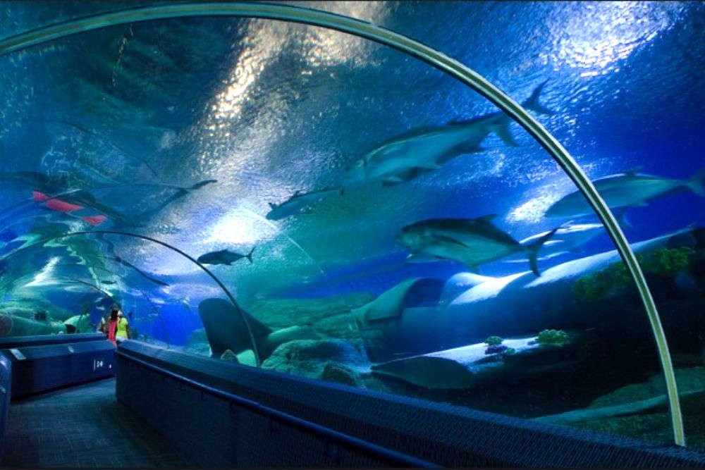 Underwater World, Pattaya - Times of India Travel