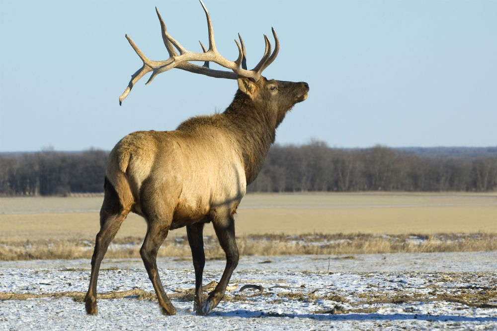 Riding Mountain National Park, Manitoba - Times of India Travel