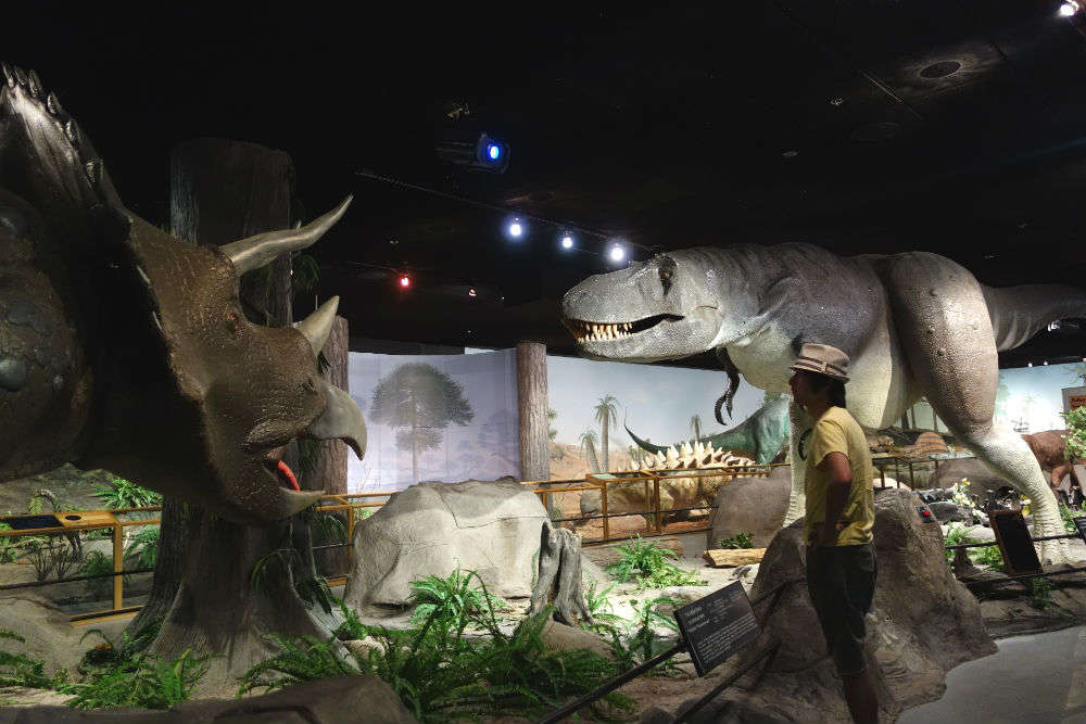 Las Vegas Natural History Museum, Las Vegas - Times of India Travel