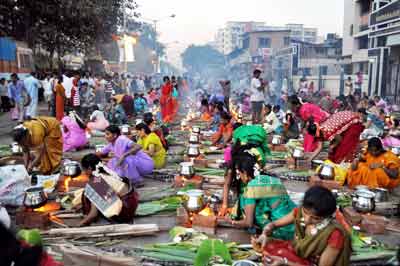 'Pongal' celebrations