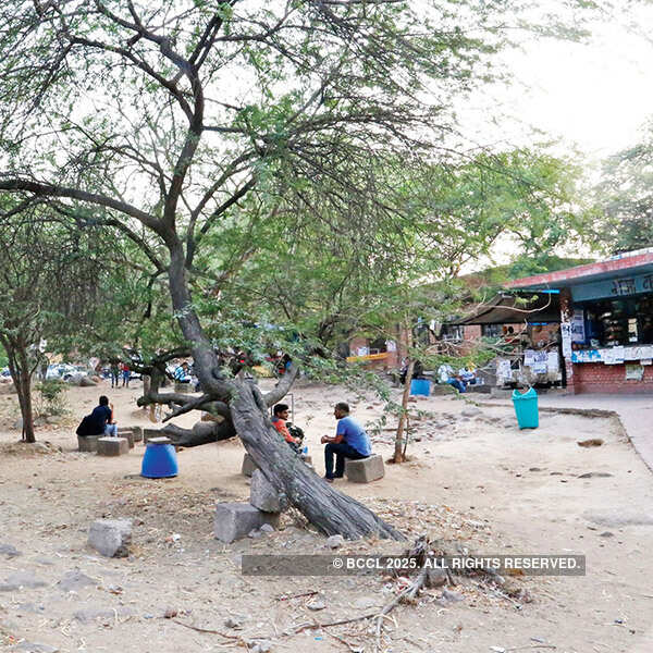 TOP Stories Of The Day &ndash; 13th October