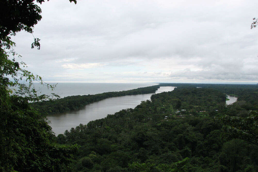 Tortuguero National Park Parque Nacional Tortuguero