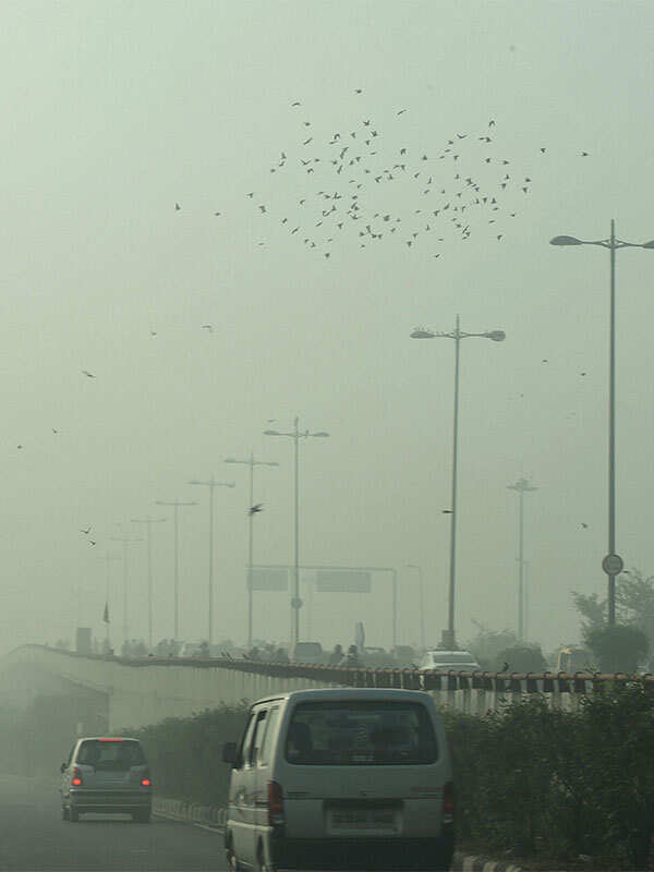 42-point plan to curb pollution goes up in smog