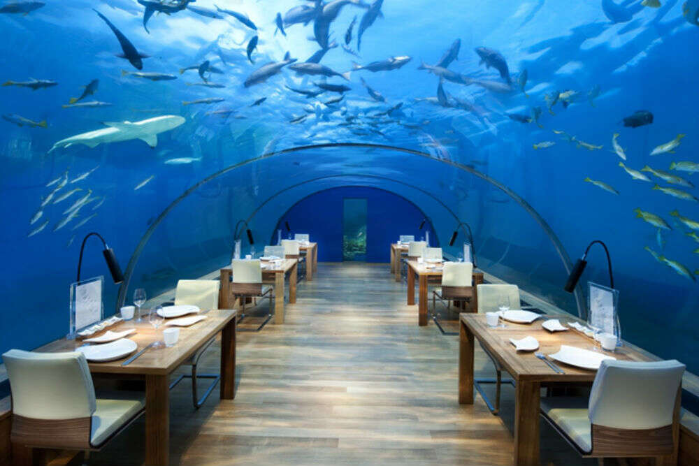 Ithaa Undersea Restaurant, Maldives - TimesTravel