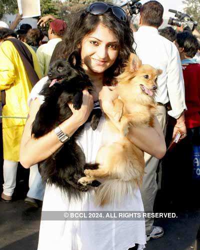 Priyanka Pal at Debasree Roy Foundation to join walk in support of 'KARUNA' spreading awareness and care towards uncared animals of the city on Victoria Memorial - Photogallery