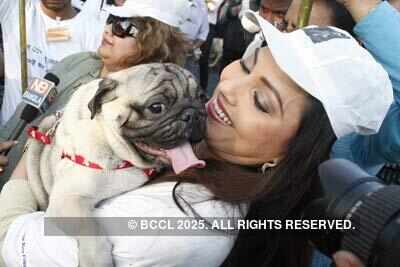 Indrani at Debasree Roy Foundation to join walk in support of 'KARUNA'  spreading awareness and care towards uncared animals of the city on  Victoria Memorial - Photogallery