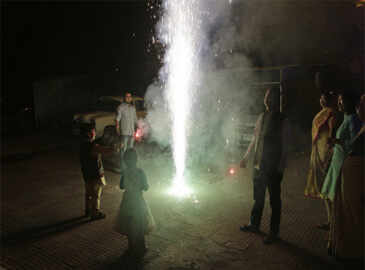 Delhi: Crackers' sale banned