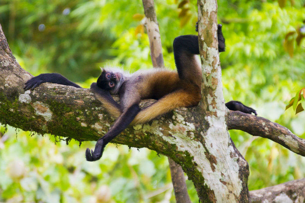 Parque Nacional de Santa Rosa, Costa Rica - Times of India Travel