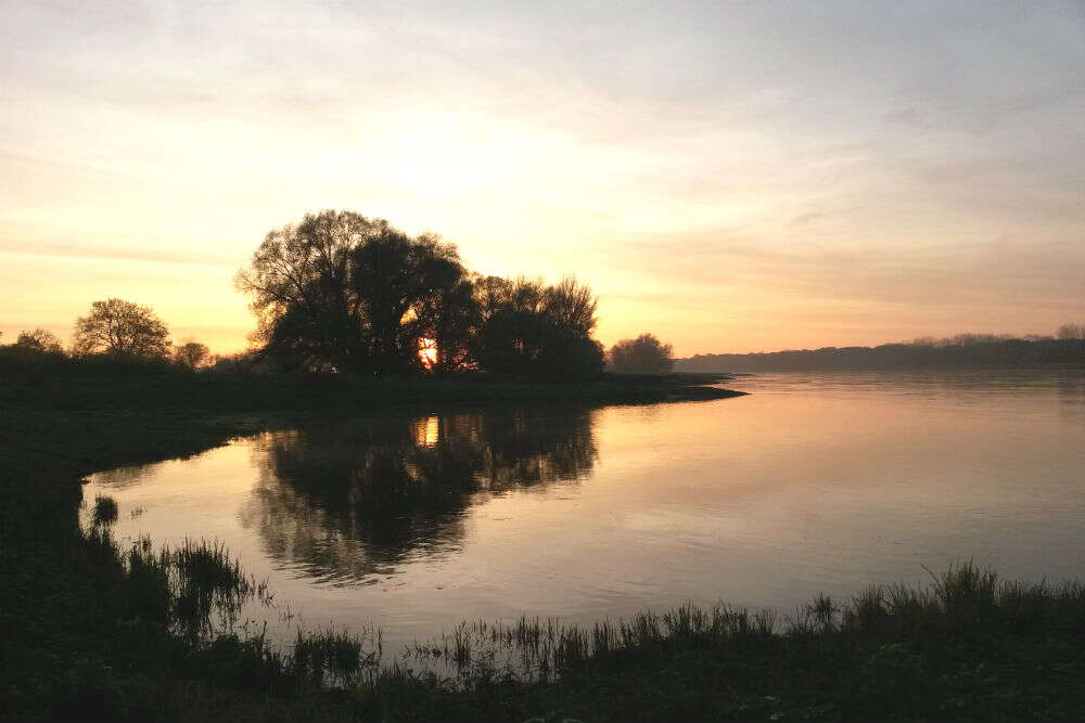 Middle Elbe Biosphere Reserve