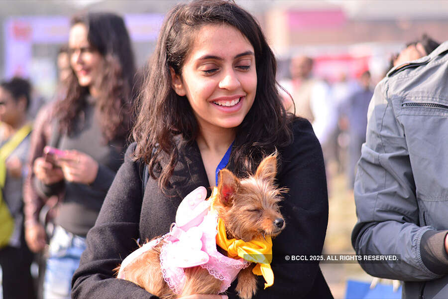 Pet Fed Delhi 2016