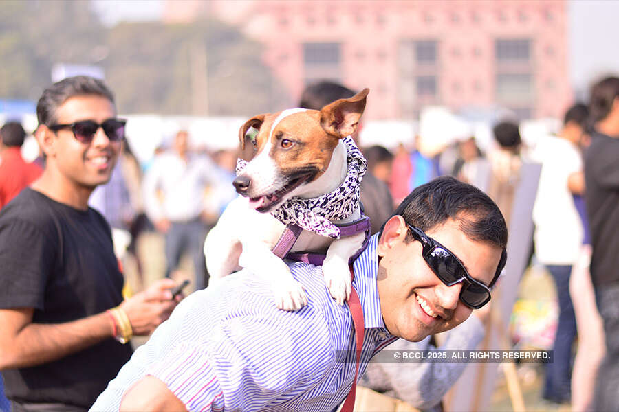 Pet Fed Delhi 2016