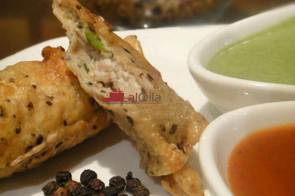 Lal Qila Dish_11