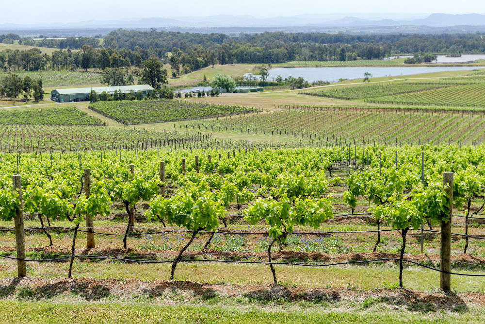 Jobs In The Hunter Valley Nsw