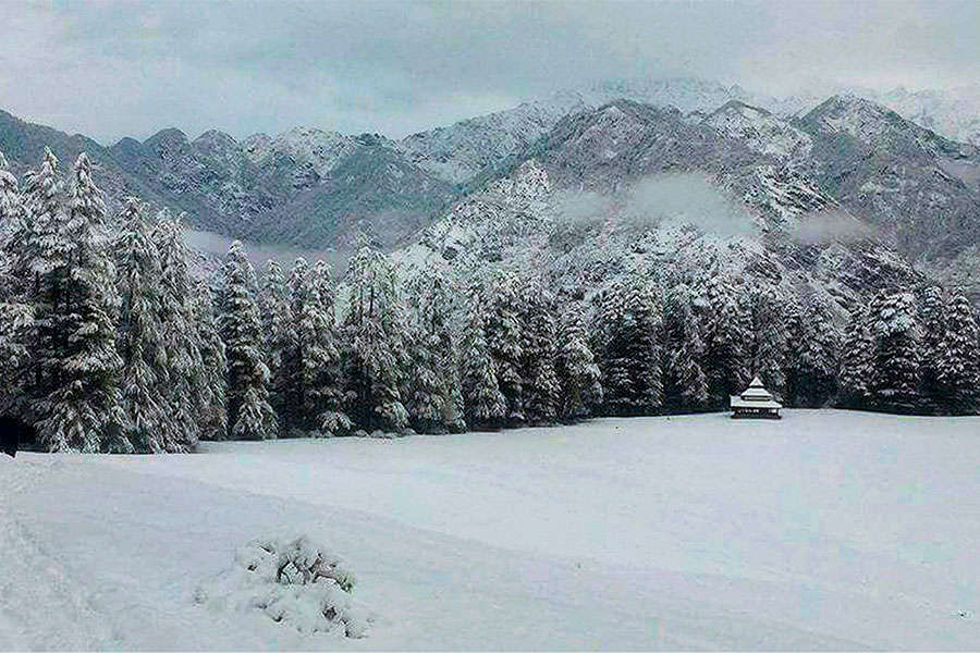 Snowfall: Tourists galore at various hill stations in Northern India