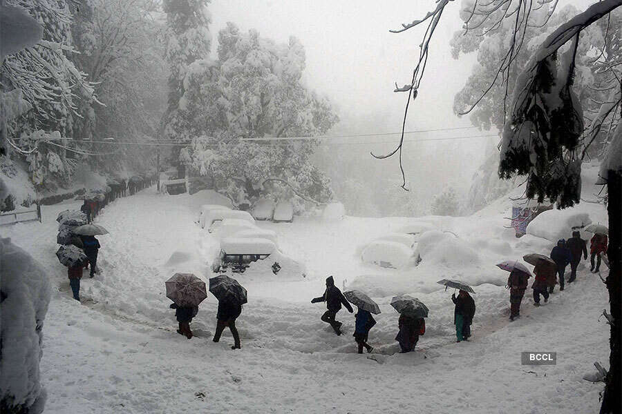 Snowfall brings cheer to tourists