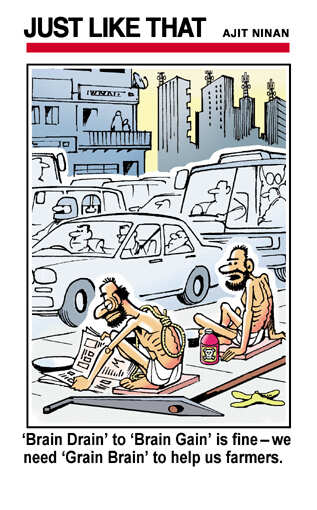 Grain brain' | Times of India Mobile